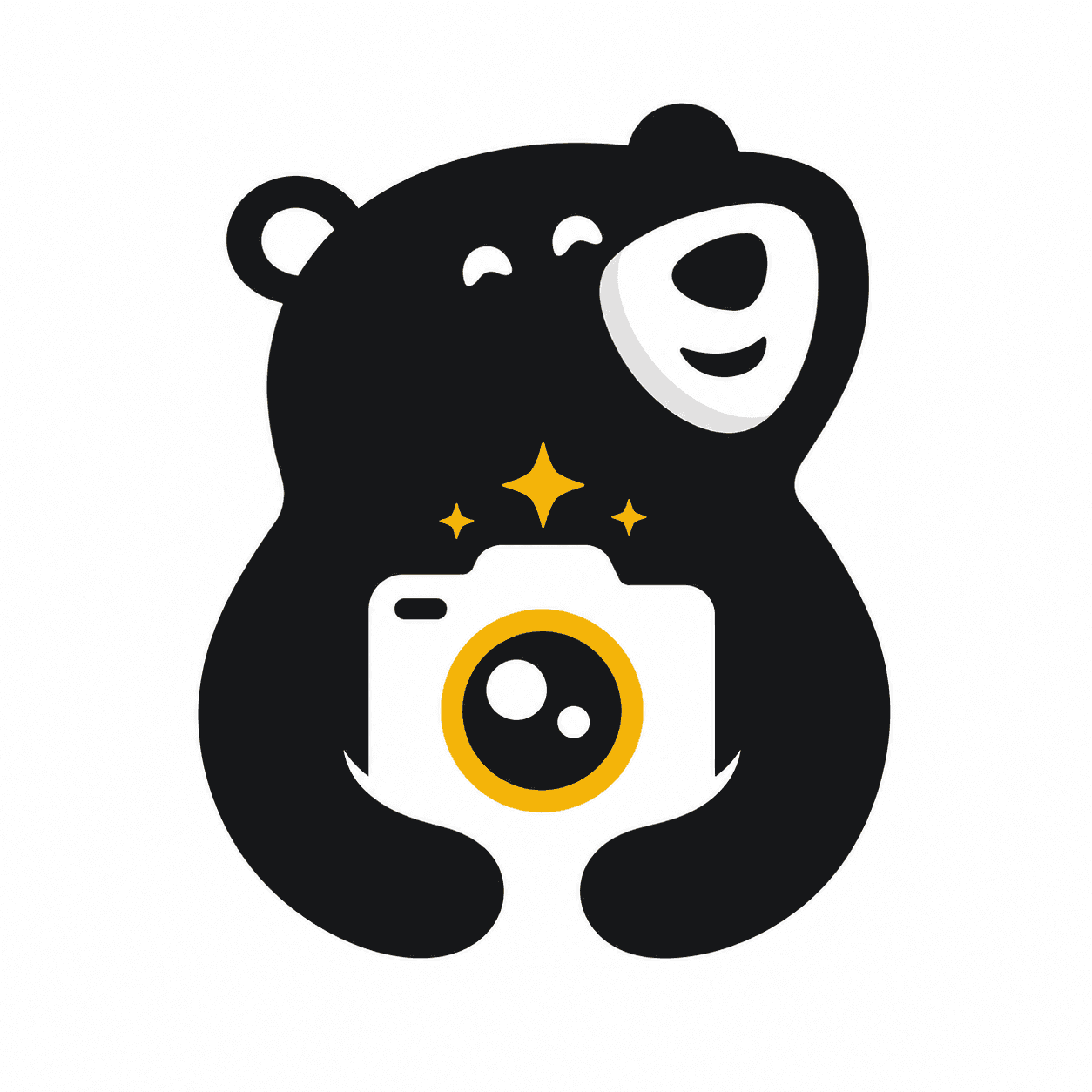 Photo Ready Logo